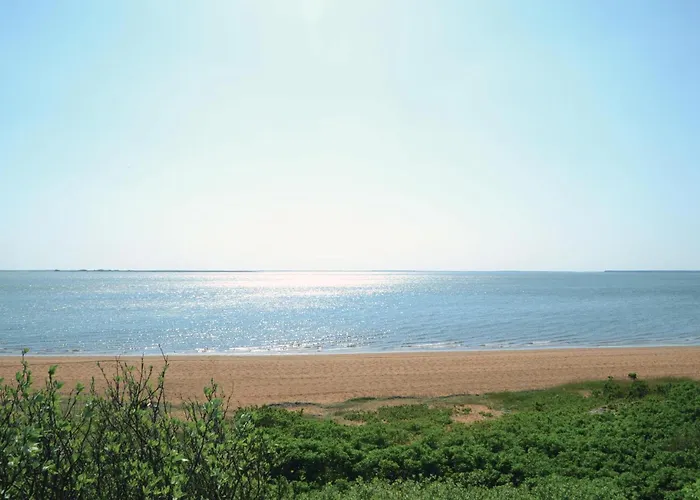 펜션 V With Patio Vi